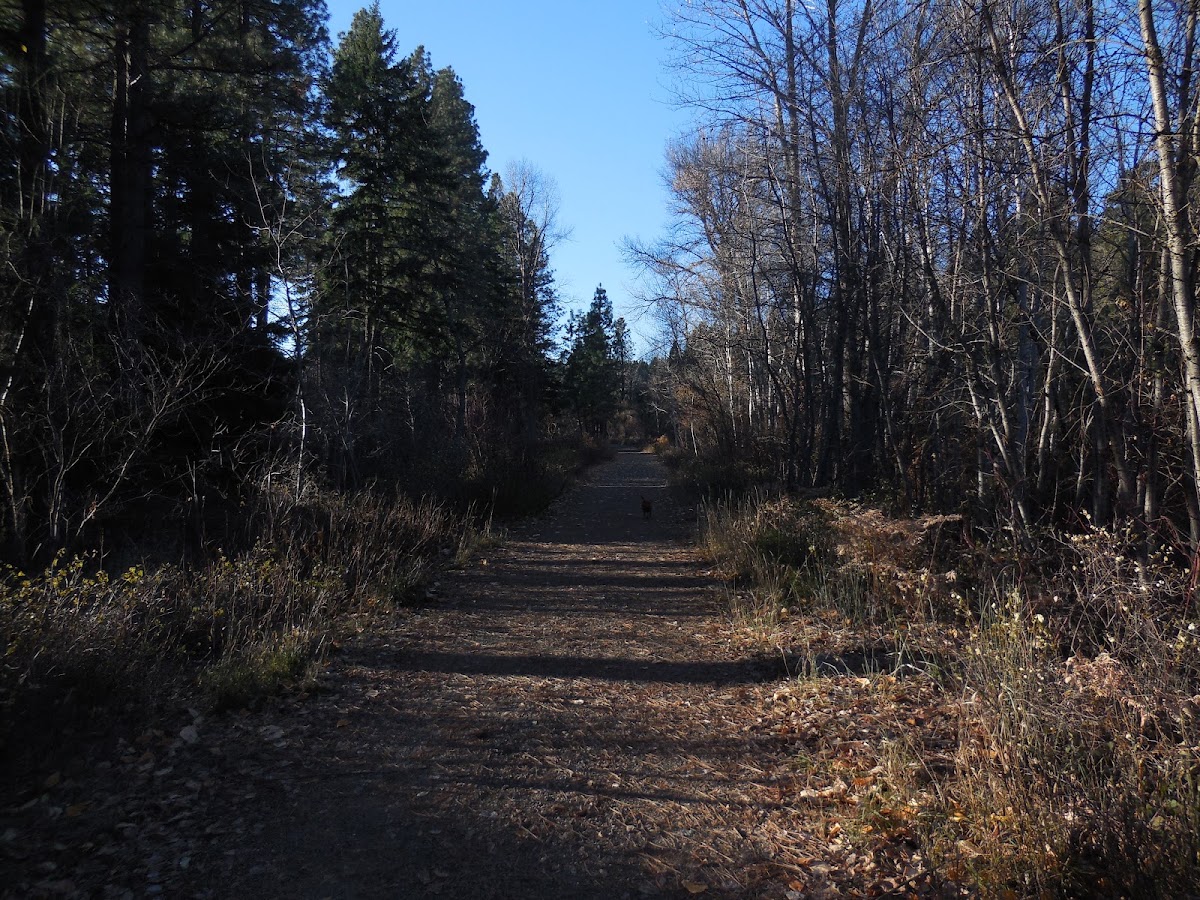 Coal Mines Trail photo 2