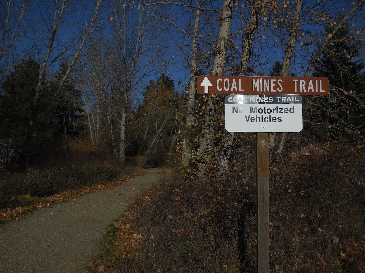 Coal Mines Trail photo 3