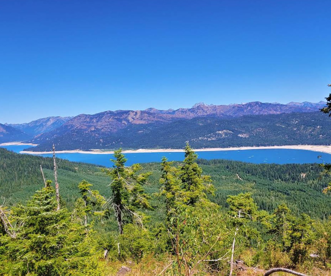 Lake Cle Elum Kokanee Fishery photo 2