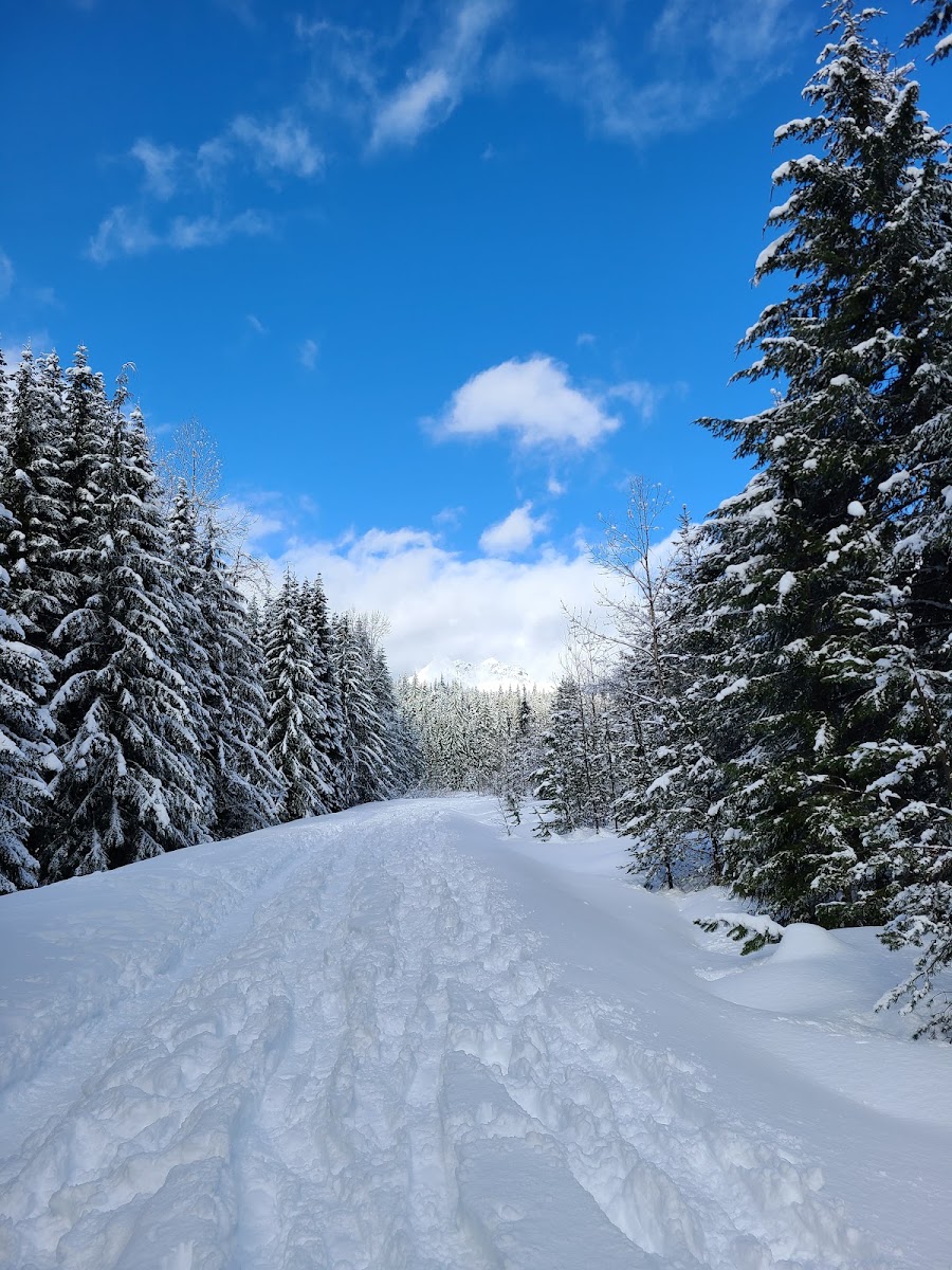 Gold Creek Pond Snowshoe