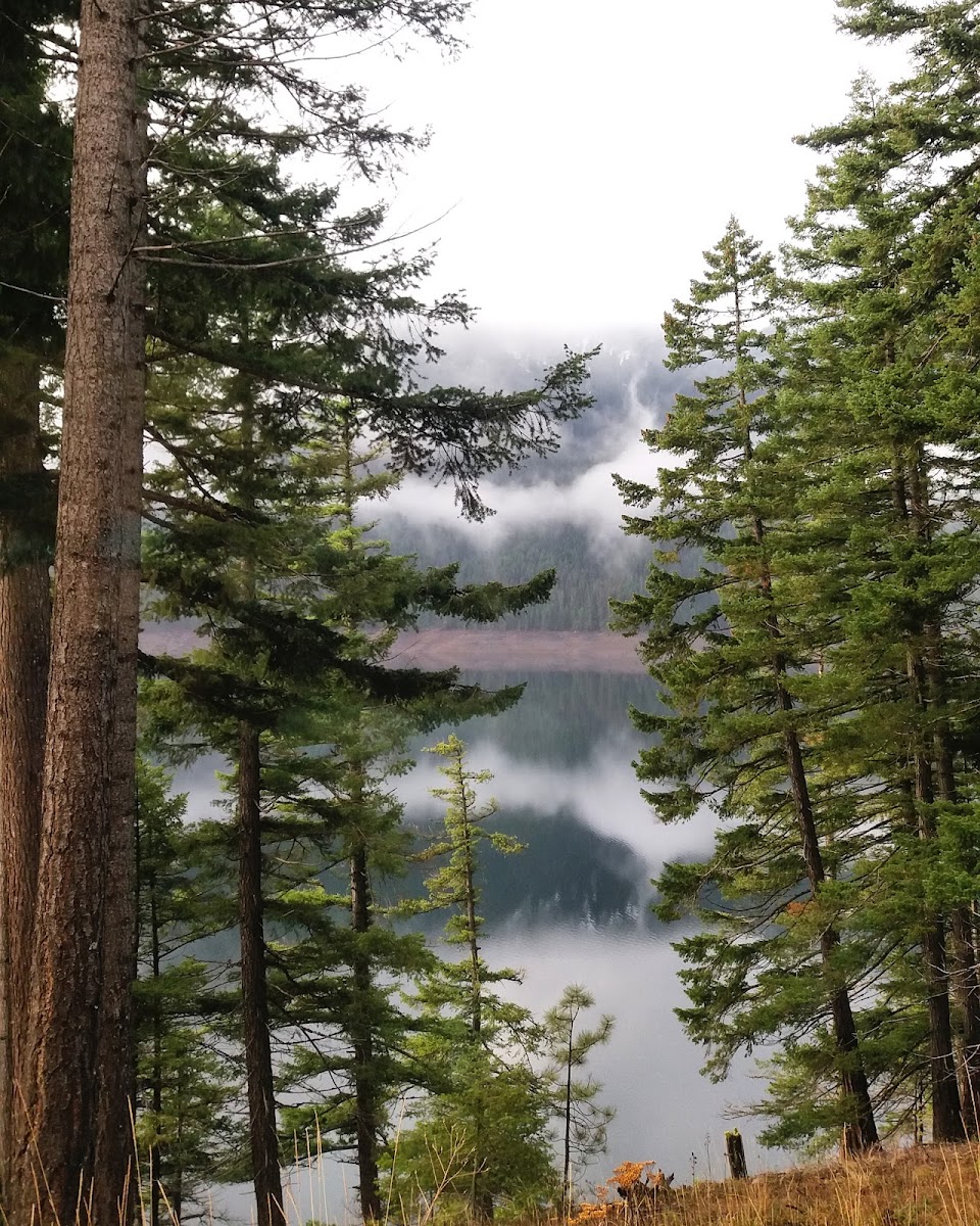 Roslyn – Ronald Country Loop