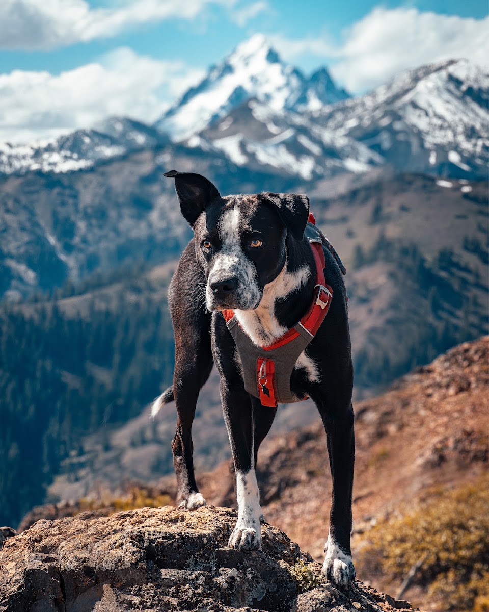 Teanaway Ridge Trail photo 2