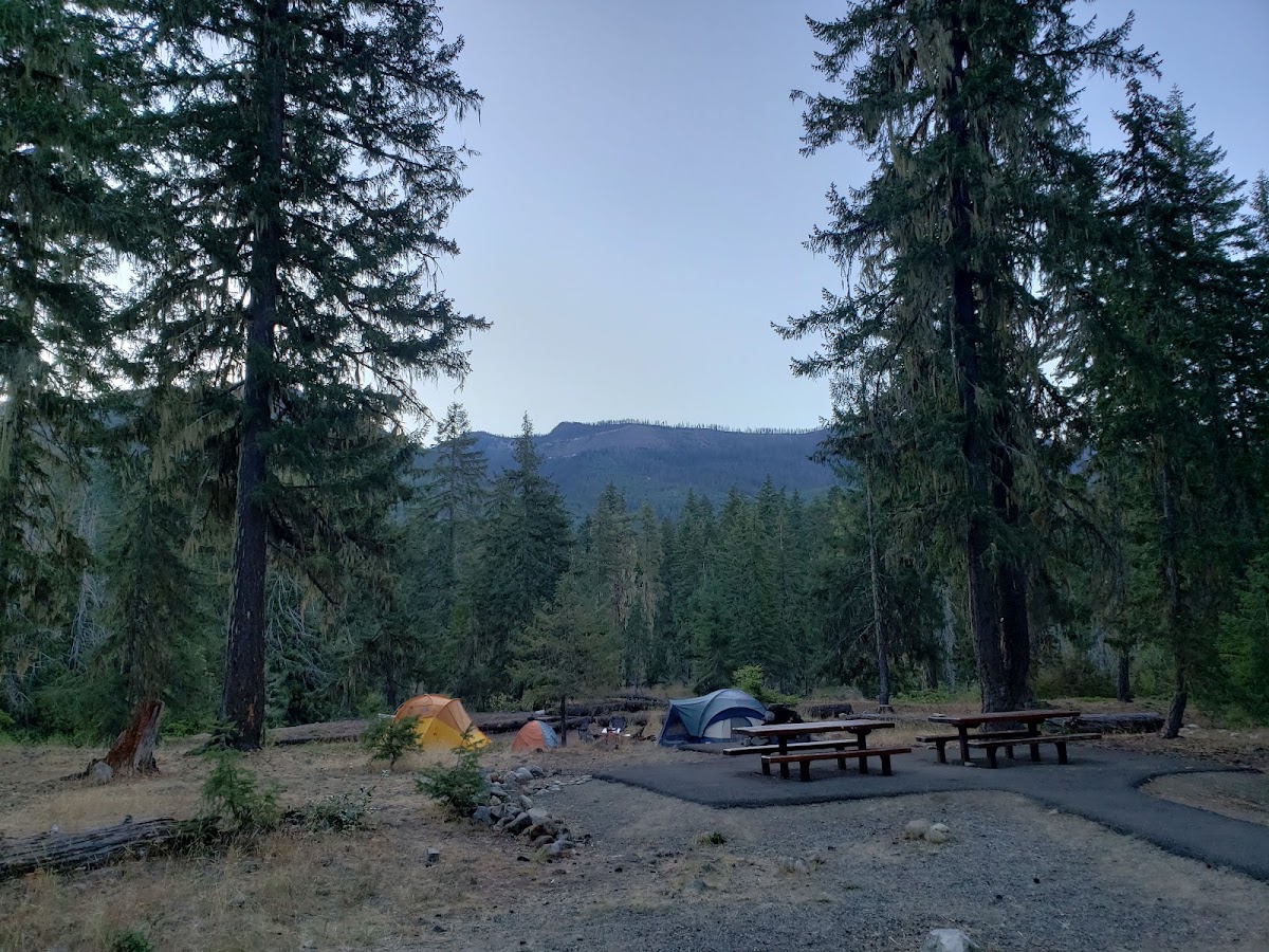 Salmon La Sac Campground photo 3