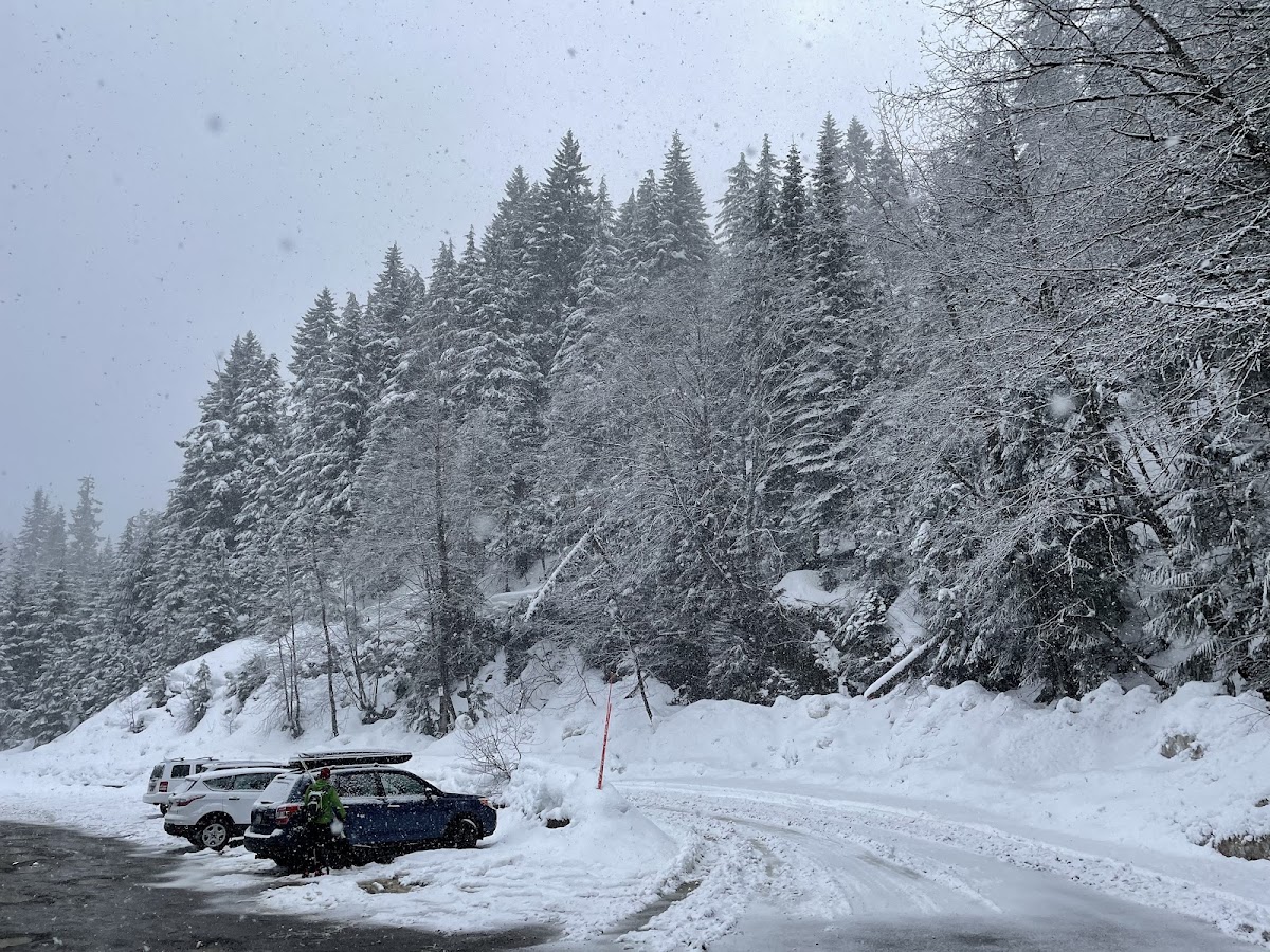 Cabin Creek Sno-Park photo 3