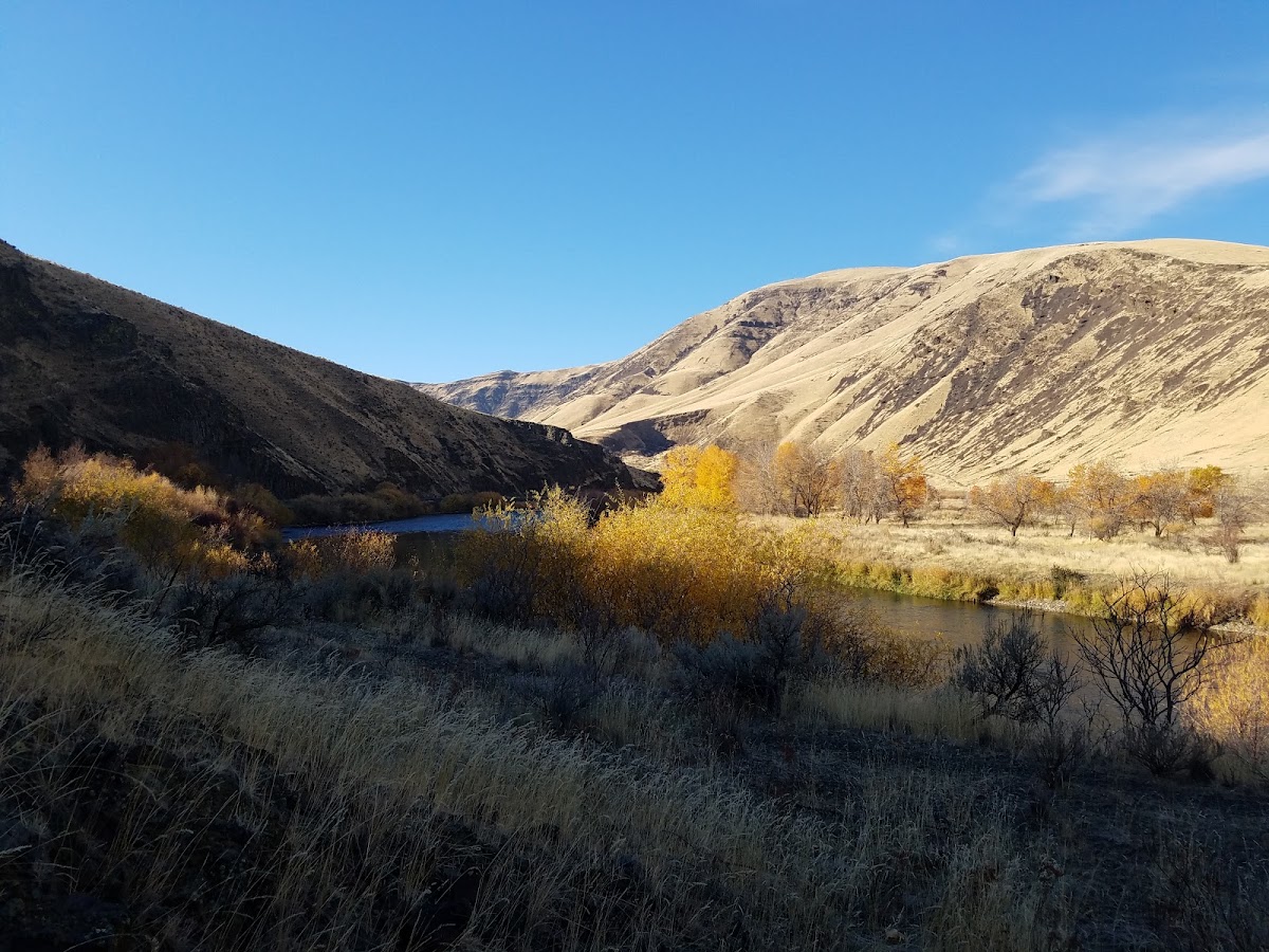 Yakima River Put-In (Ringer Loop) photo 2